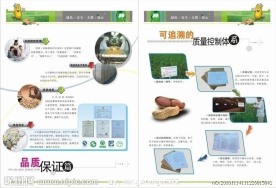 产品画册内页设计