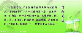 茶素材