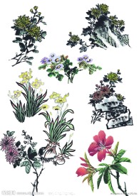 水墨画花