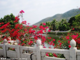 春暖花开
