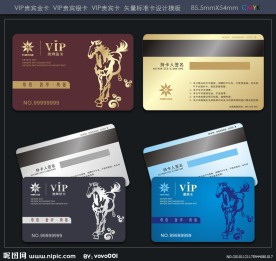 VIP卡 贵宾卡 金卡 银卡 会员卡模板