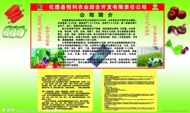 企业宣传页
