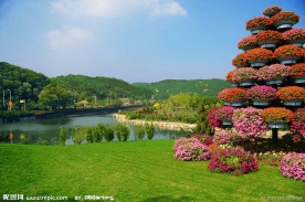 水井花街 山水图 花园