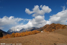 四姑娘山风光