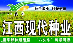 种业