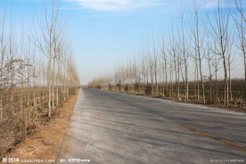 乡村道路