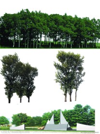 配景树木