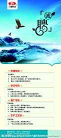 x展架 招聘