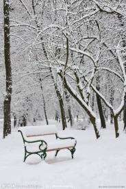 冬季雪景高清图片