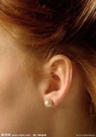 耳朵特写