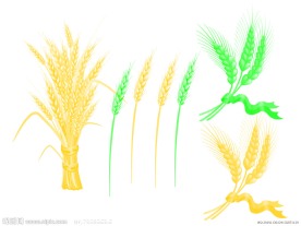 麦穗笔刷