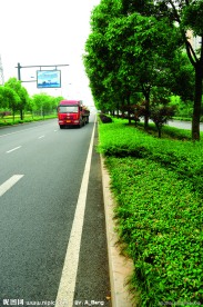 2009道路绿化金奖 钱江路景观照片