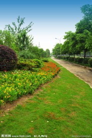 2009道路绿化金奖 钱江路景观照片