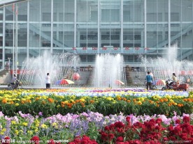 鲜花花坛造型