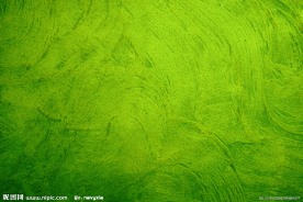 绿色背景底纹