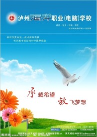 招生画册封面
