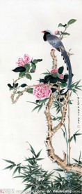 花鸟