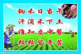 节约粮食