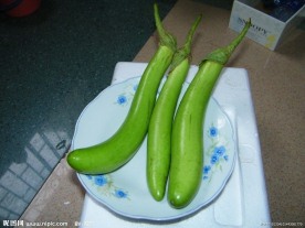 茄瓜 秋茄 绿茄瓜