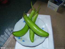 秋茄 茄瓜 绿茄瓜