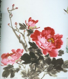 国画 水墨画 水彩 牡丹