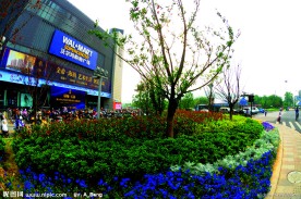 2009道路绿化金奖 邱山大街与藕花洲大家交叉口景观照片