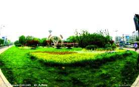 2009道路绿化金奖 邱山大街与藕花洲大家交叉口景观照片