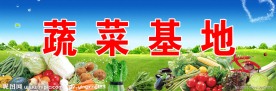 蔬菜基地