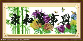 家和万事兴 菊花版