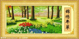 锦绣年华