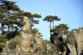 黄山奇石