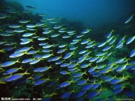 海洋世界