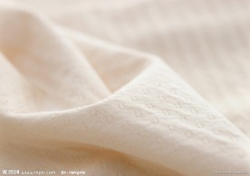 面料 棉布 布料