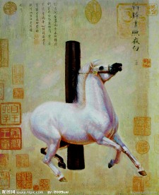 龙马魂时空