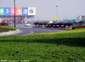 2009道路绿化银奖奖 新兴路景观照片