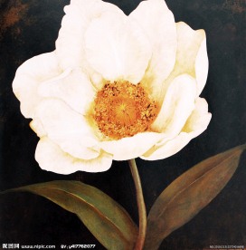 手绘画 手绘花 油画 画芯