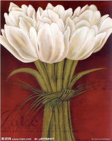 手绘画 手绘花 油画 画芯