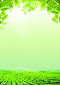 绿色背景