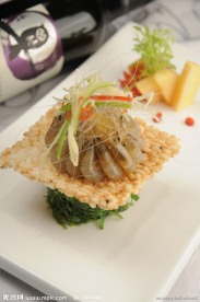 小白虾
