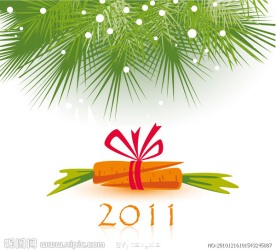 2011新年