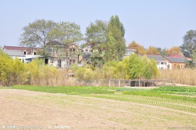 乡村风光