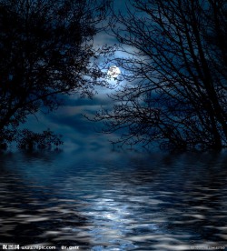 梦幻圆月夜