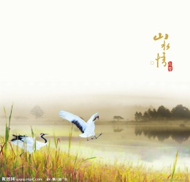 山水情