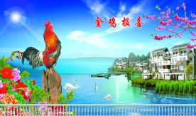 金鸡报喜