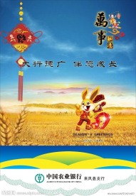 2011挂历封面