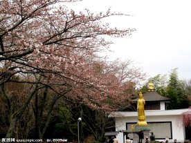 平和公园