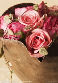 玫瑰花高清图片