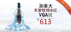 冰酒 白葡萄酒促销