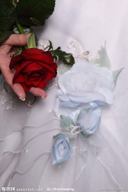 美女与鲜花