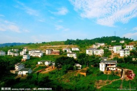 新农村